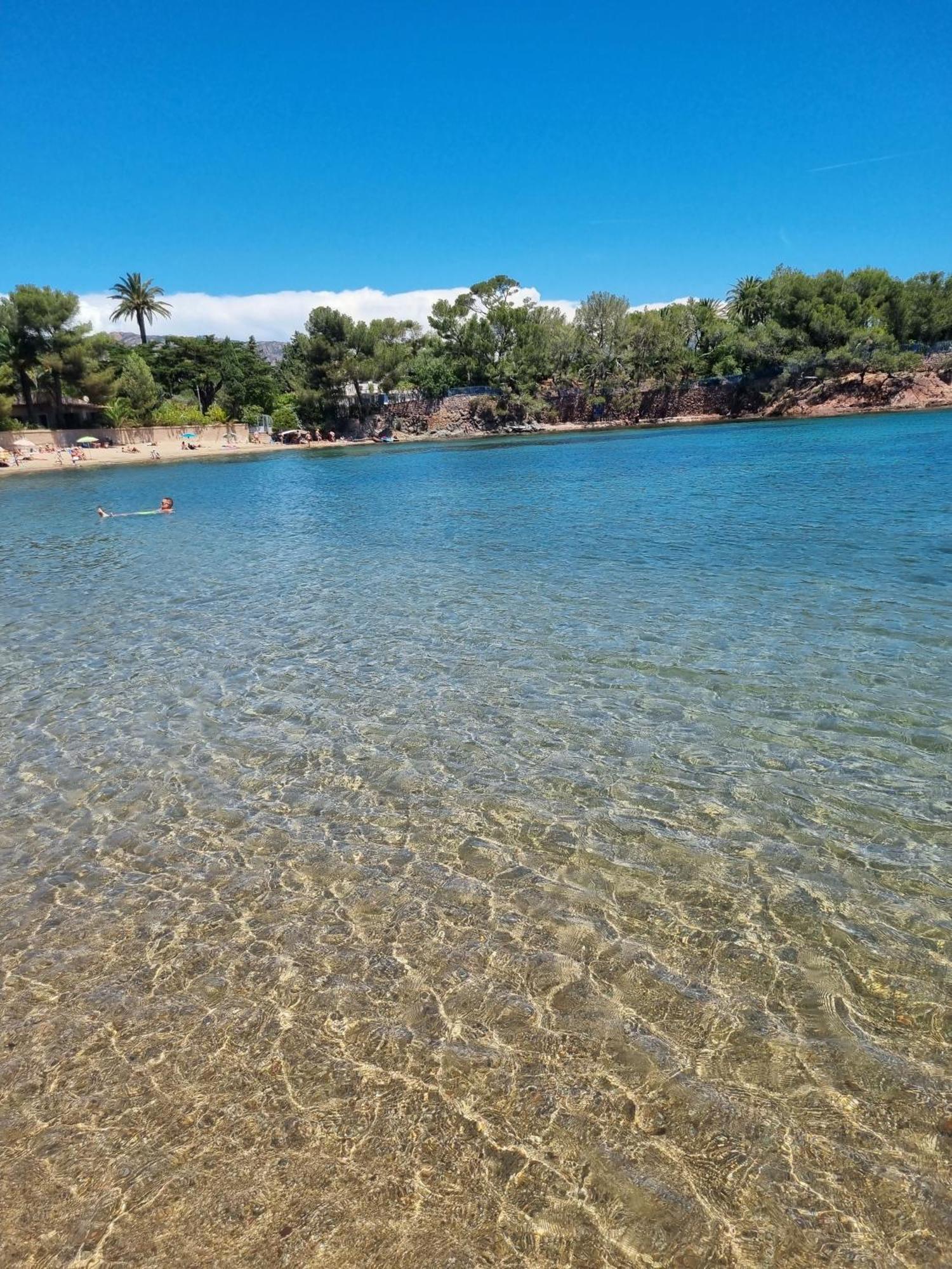 Studio 4P Vue Piscine St Raphael Valescure - Au Coeur Des Golfs Saint-Raphaël Екстериор снимка