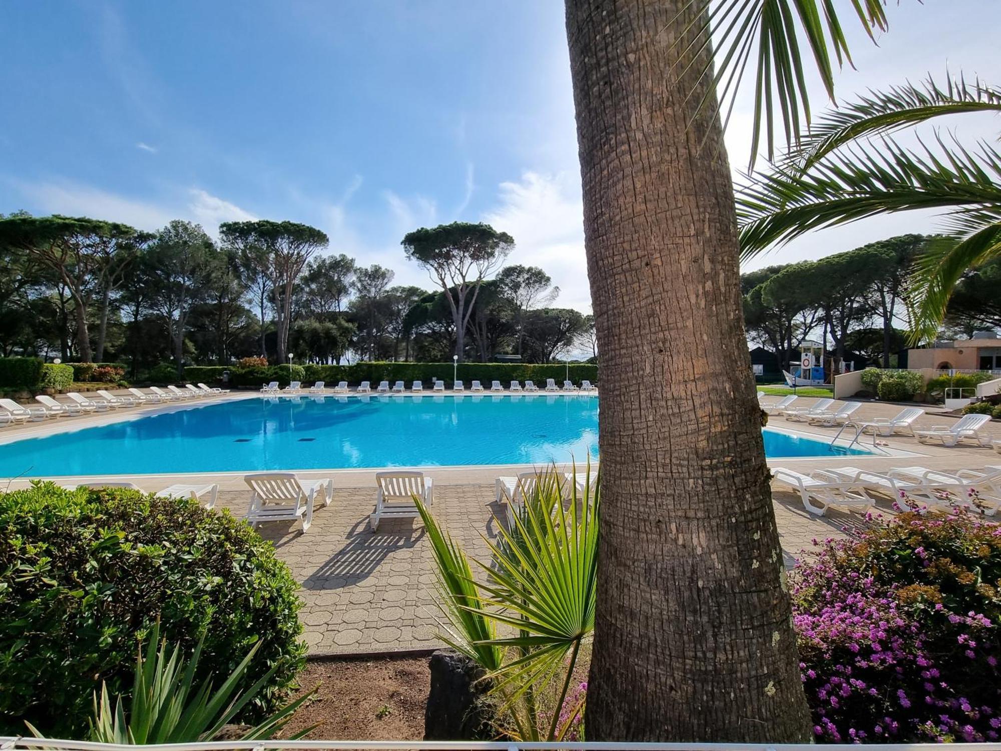 Studio 4P Vue Piscine St Raphael Valescure - Au Coeur Des Golfs Saint-Raphaël Екстериор снимка